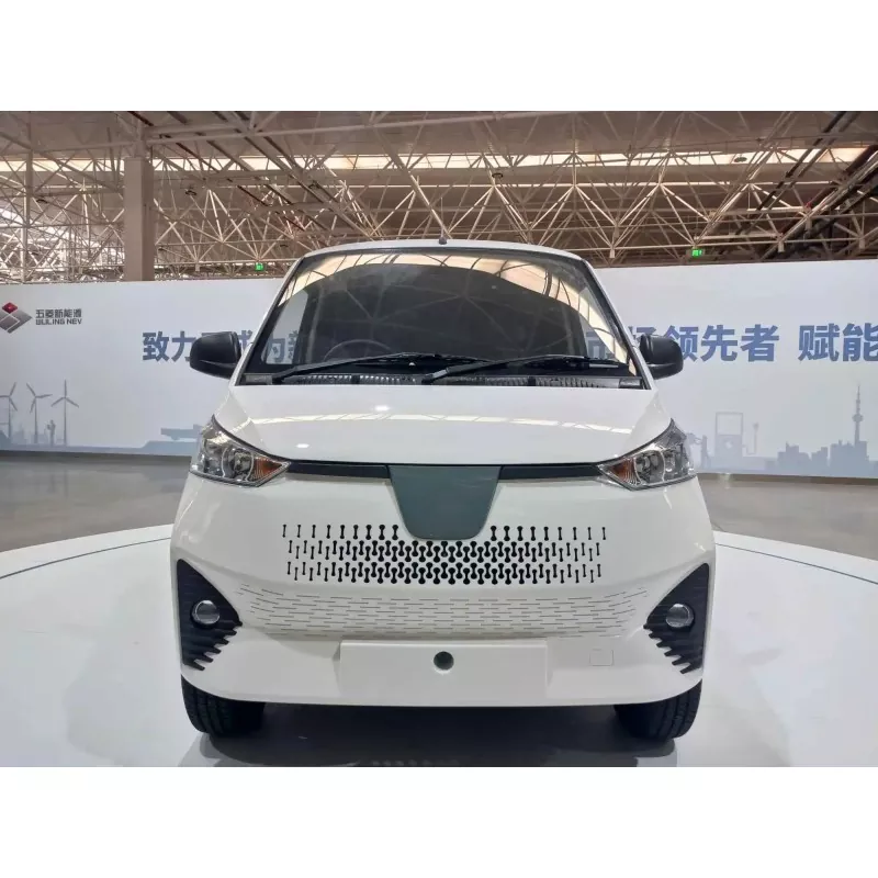 Chii chinonzi Electric Mini Van?